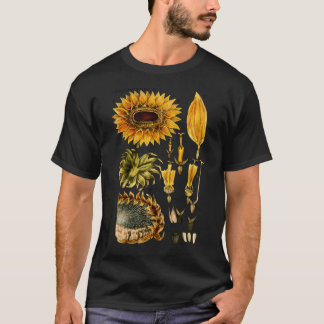 Camiseta Ilustracion Botánico De Girasol Del Siglo Xix