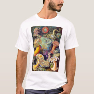 Camiseta ilustracion de Actiniae Germa Ernst Haeckel