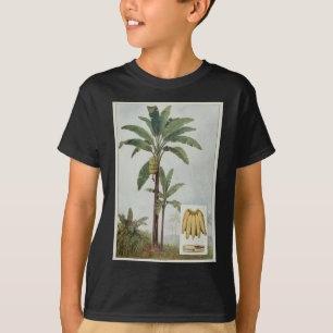 Camiseta Ilustracion de árboles plátanos