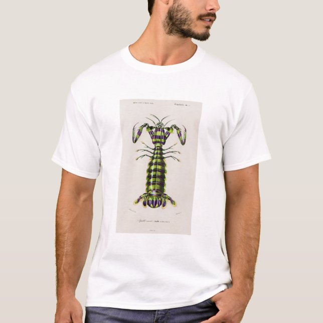 Camiseta Ilustracion de camarón mantis gigante (Anverso)