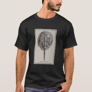 Camiseta Ilustracion de cangrejo de herradura vintage (1923