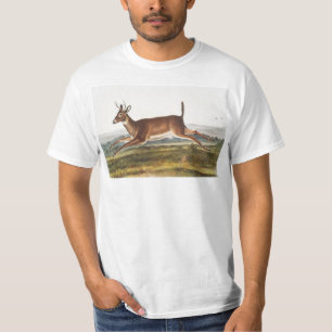 Camiseta Ilustracion de Cervus leucurus de cola larga