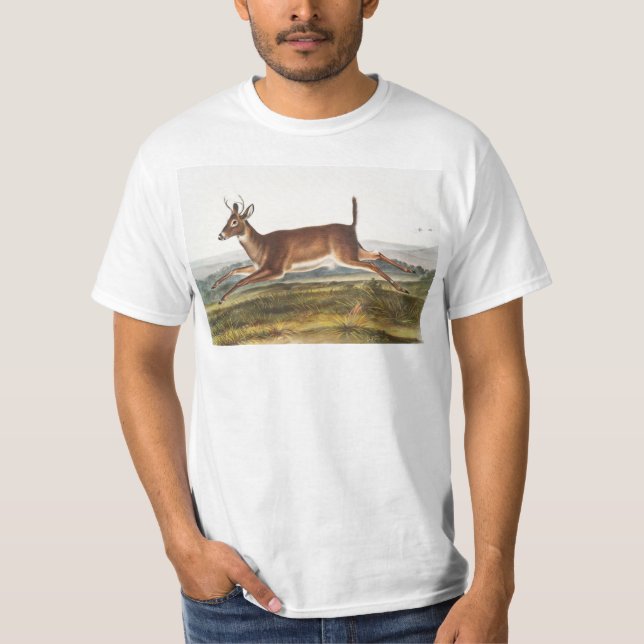 Camiseta Ilustracion de Cervus leucurus de cola larga (Anverso)