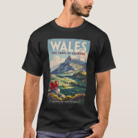 Ilustración de dragón de Gales Arte de viaje vinta