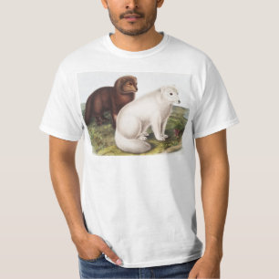 Camiseta Ilustracion de Fox Ártica (Vulpes Lagopus)
