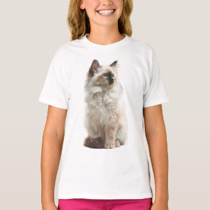 Camiseta Ilustración de gato Ragdoll de ojos azules esponjo