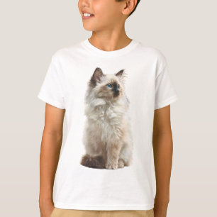 Camiseta Ilustración de gato Ragdoll de ojos azules esponjo