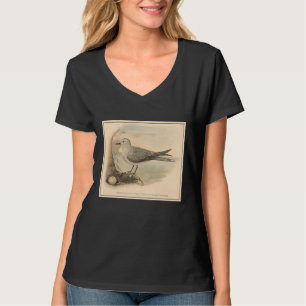 Camiseta Ilustracion de Gaviota Vintage 1906