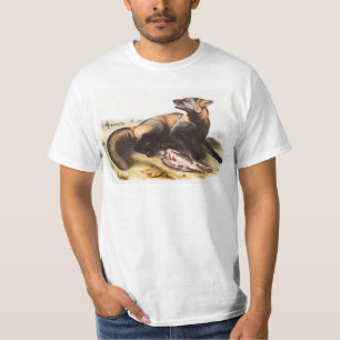 Camiseta Ilustracion de la Cruz Fox de Estados Unidos (Cani