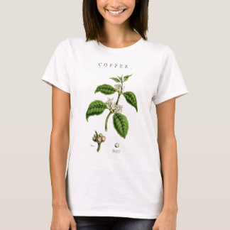 Camiseta Ilustracion de planta de café de época