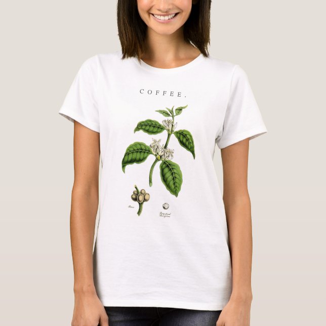 Camiseta Ilustracion de planta de café de época (Anverso)