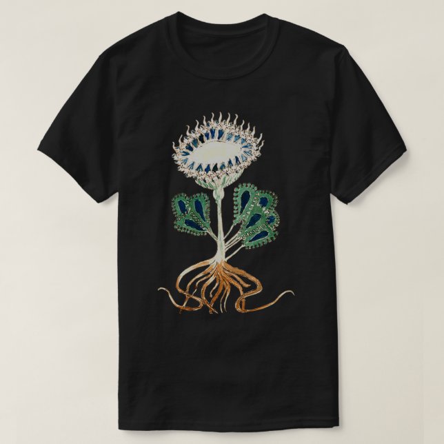 Camiseta Ilustracion de planta de manuscrito de Voynich 1 (Diseño del anverso)