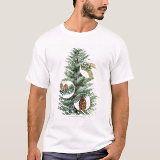 Camiseta Ilustracion del árbol conífero con los conos