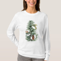 Ilustracion del árbol conífero con los conos