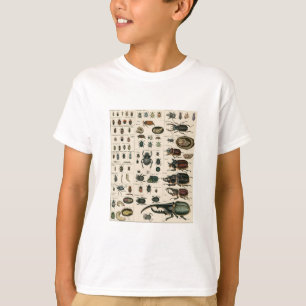 Camiseta Ilustracion del escarabajo del vintage