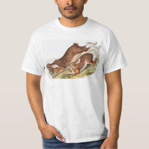 Camiseta Ilustracion del Hare Septentrional (Lepus American