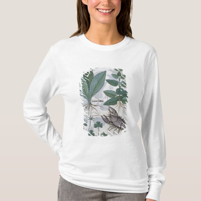Camiseta Ilustracion del 'libro de las medicinas simples (Anverso)