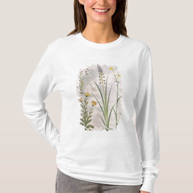 Camiseta Ilustracion del 'libro de las medicinas simples (Anverso)
