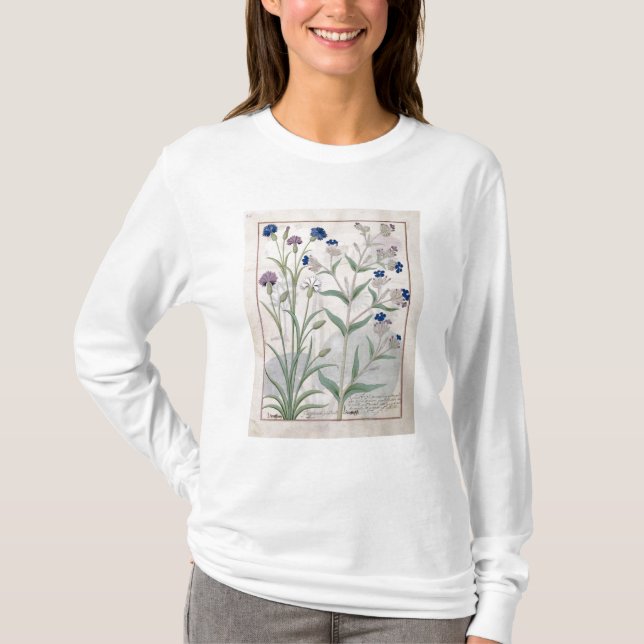 Camiseta Ilustracion del "libro de las medicinas simples" 3 (Anverso)