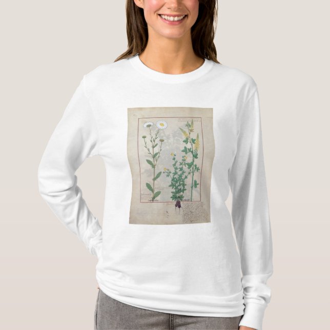 Camiseta Ilustracion 'del libro de simple (Anverso)