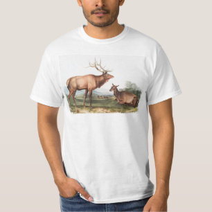 Camiseta Ilustracion Estadounidense de Elk (Cervus Canadens