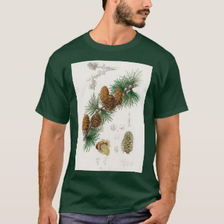 Camiseta Ilustracion Linus larix de la Botánica Médica 1836