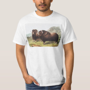 Camiseta Ilustracion Musk Ox (Ovibos moschatus)