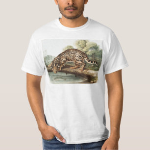 Camiseta Ilustracion Ocelot, Leopard Cat (Felis pardalis)
