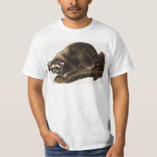 Camiseta Ilustracion Raccoon (Procyon lotor)