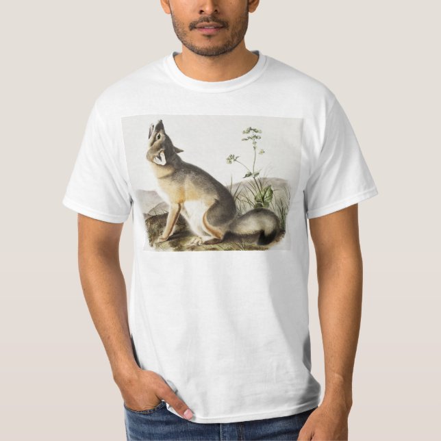 Camiseta Ilustracion Swift Fox (Vulpes velox) (Anverso)