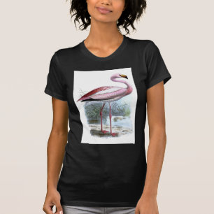 Camiseta Ilustracion Vintage Puna Flamingo