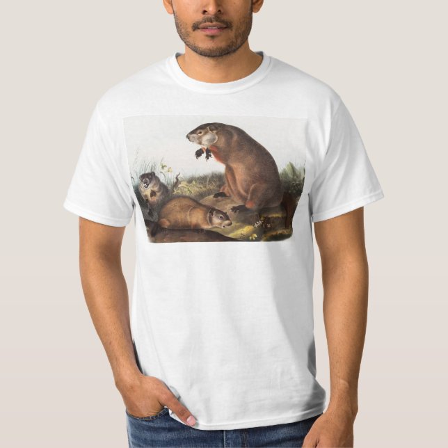 Camiseta Ilustracion Woodchuck (Arctomys monax) (Anverso)