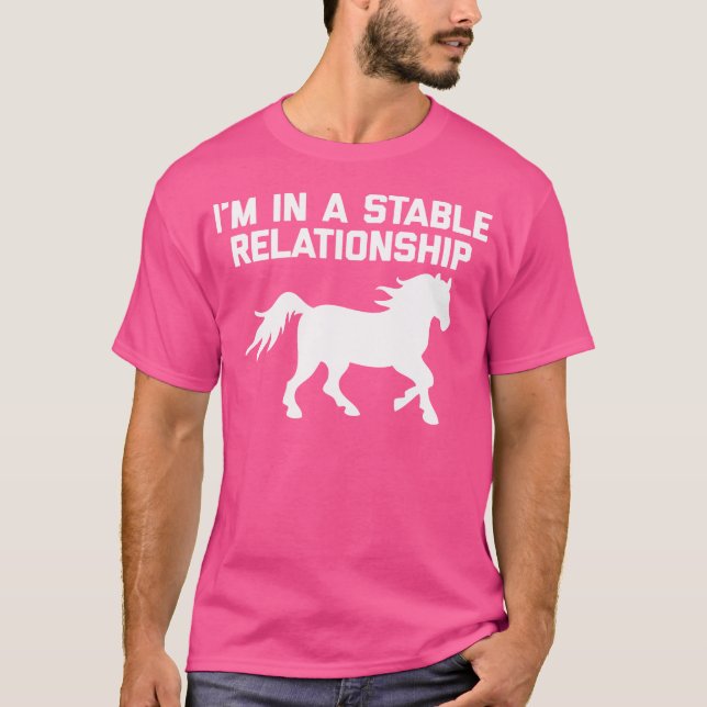 Camiseta I'M In A Stable Relationship Funny Horseback Ridin (Anverso)