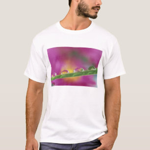 Camiseta Imagen de asterias formadas en gotas de agua