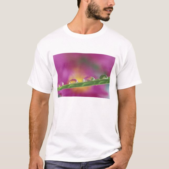Camiseta Imagen de asterias formadas en gotas de agua (Anverso)