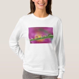 Camiseta Imagen de asterias formadas en gotas de agua