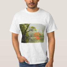 Imagen del bosque junto al río - Naturaleza escéni