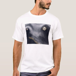 Camiseta Imagen por satélite de la isla de Semisopochnoi