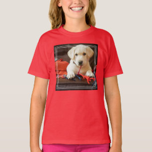 Camiseta Imágenes de Getty   Cachorro En Un Sofá