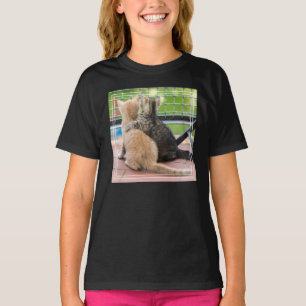 Camiseta Imágenes de Getty   Dos gatitos en un balcón