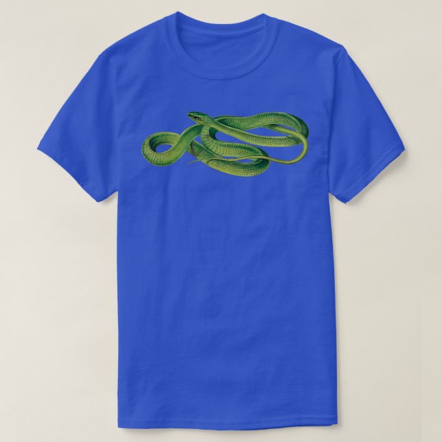 Camiseta Imágenes de serpientes de época Boomslang Snake Vi (Diseño del anverso)
