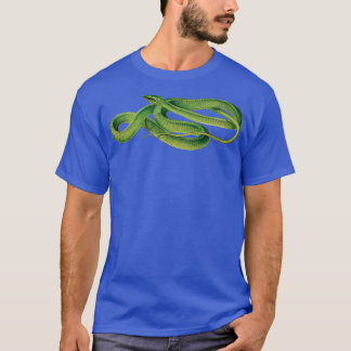 Camiseta Imágenes de serpientes de época Boomslang Snake Vi