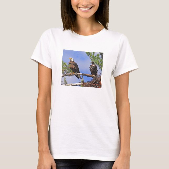 Camiseta IMG_0411cn, Eagles calvo (Anverso)