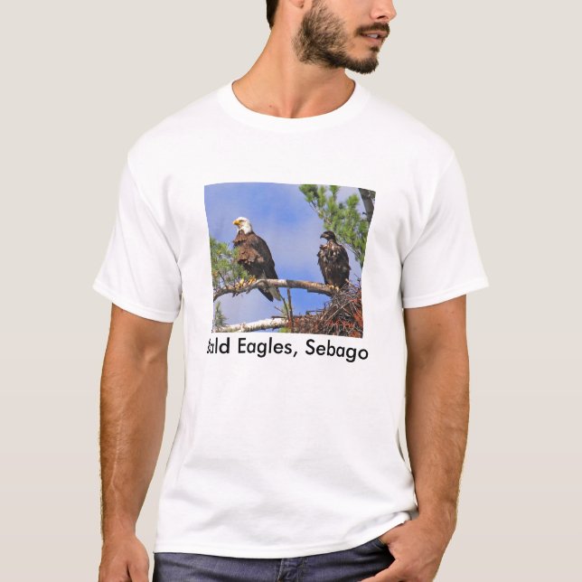 Camiseta IMG_0411cn, Eagles calvo, Sebago (Anverso)