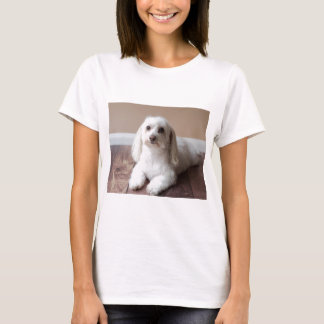 CAMISETA IMG_4050