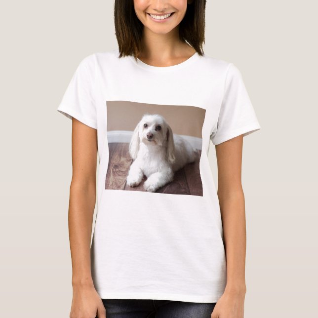 CAMISETA IMG_4050 (Anverso)