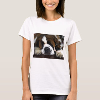 CAMISETA IMG_4069