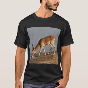 Camiseta Impala antelope bebiendo en la foto del agujero de