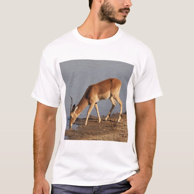 Camiseta Impala antelope bebiendo en la foto del agujero de (Anverso)