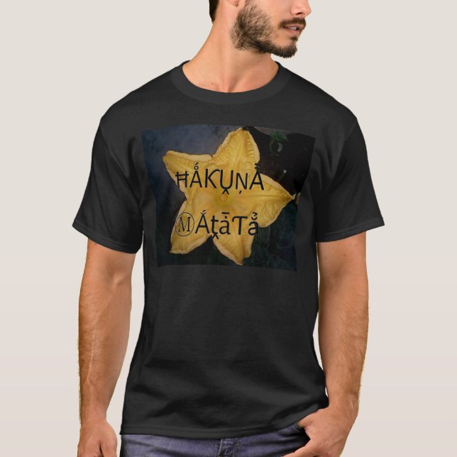 Camiseta Impresión artística de la estrella dorada Hakuna M (Anverso)